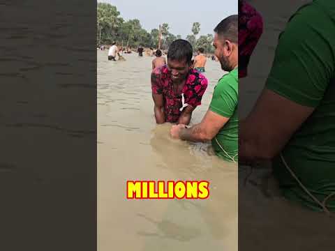 Catching Fish with Fishing Net in Village Pond #shorts