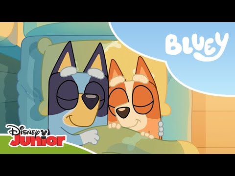 🤫 Mesaje secrete! | Blue | Disney Junior România