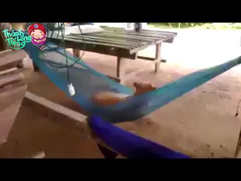 Thánh lồng tiếng | Lu Bị Kẹt ...