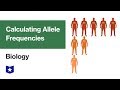 Gene Pool and Allelic Frequency Concepts