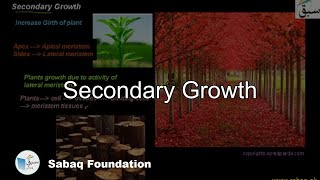 Secondary Growth