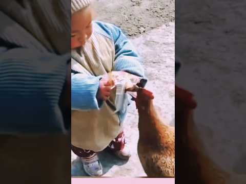 OH OH #shorts #shortsfeed #shortsvideo #shortsviral #trending #youtube #cutebaby #funny #animals