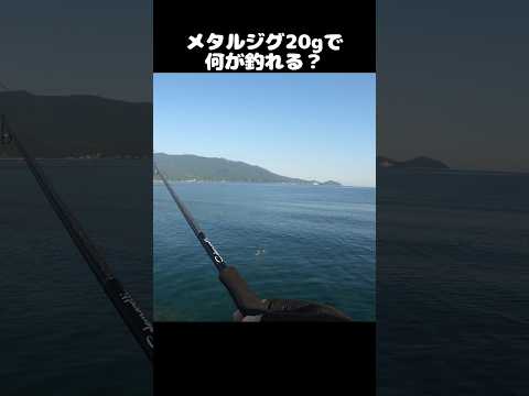 thumbnail_69gaIinqevQ