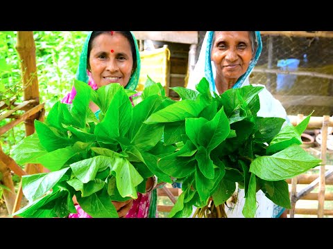 খারকোল পাতা বাটা | KHARKOL PATA BATA RECIPE | Village famous natural kharkol pata collect and recipe