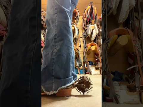 American Horse Spurs In Shoes