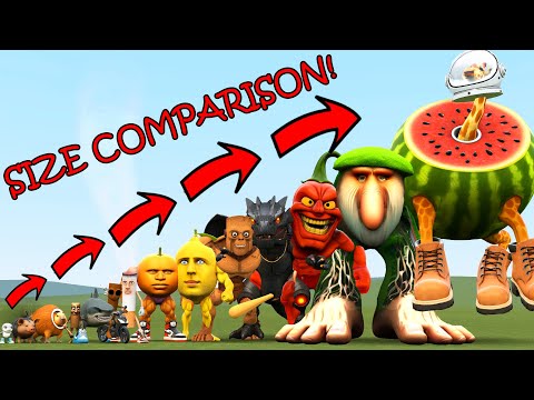 ALL NEWEST ITALIAN AI BRAINROT MEMES SIZE COMPARISON In Garry's Mod!