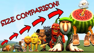 ALL NEWEST ITALIAN AI BRAINROT MEMES SIZE COMPARISON In Garry's Mod!