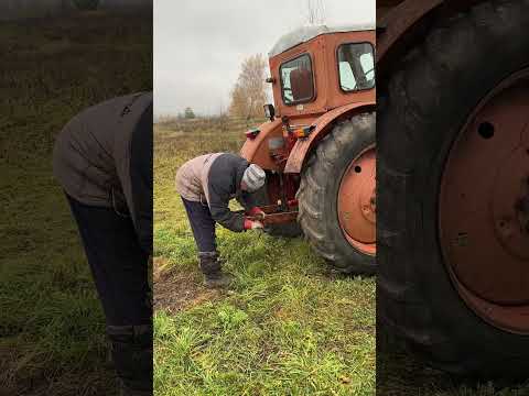 Как прошли выходные. Везем навоз!