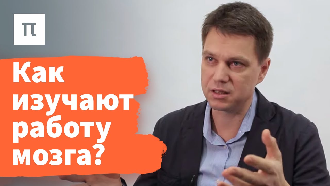 Работа мозга при решении когнитивных задач - Александр Храмов