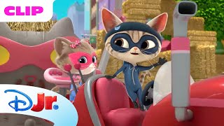 SuperKitties | A Gatinha do Campo