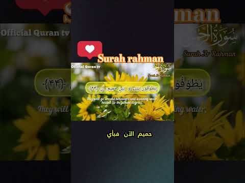 surah rahman urdu tarjuma #islamiccontent #quotes #quran #surah #peacefulrecitation #surahyaseen
