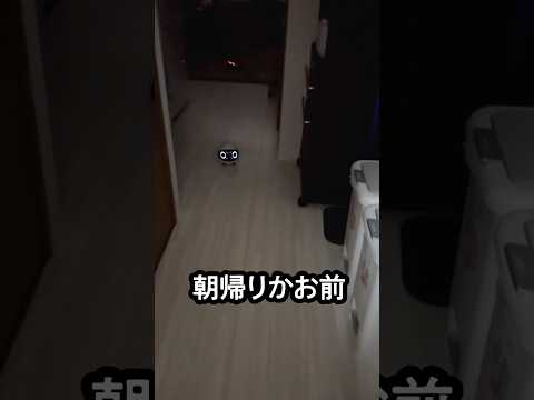朝帰りの私が見守りロボット越しのお父さんに叱られることに...一人暮らしに自由がなくなる？！#見守りカメラ #ロボッとうちゃん #癒し動画 #お笑い動画 #おもしろ動画  #whatthepet