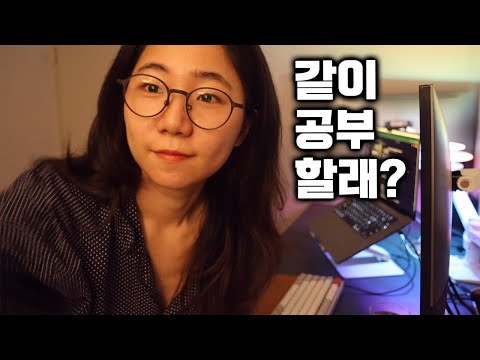 1 Hour code with me / 풀벌레 백색소음 / 새벽 공부 ㄹㅇ 맛도리
