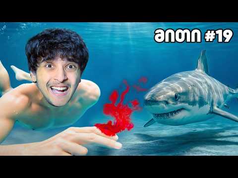 დავამსხვრიე 30 მითი 1 საათში