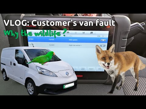 Call out to a customer's Nissan E-NV200 with brake warning lights caused by urban foxes!