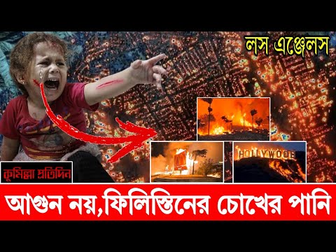 লস এঞ্জেলস এর বর্তমান অবস্থা | এ যেন ফিলি*স্তিনি শিশুদের চোখের পানি | আগুনে পুড়ে সব শেষ  T360D