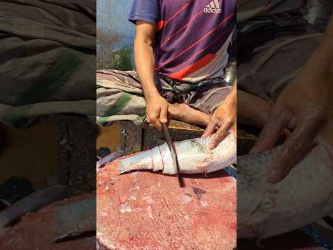 Amazing Kali Baush Fish Cutting Skills In Bangladesh Fish Market By Expert Cutter #shorts