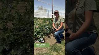 Inside the Innovations - Episode 4 #shorts