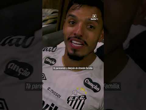 image para ilustrar o artigo