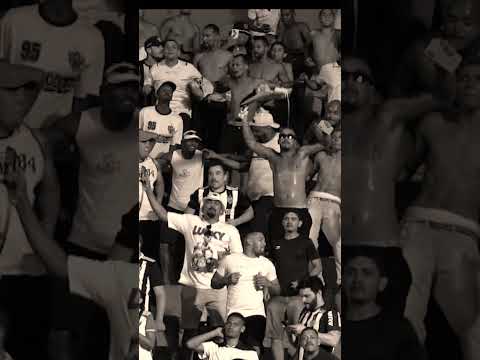 image para ilustrar o artigo