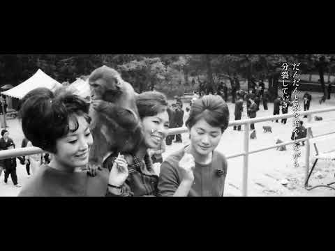 【高崎山自然動物園PR動画】（本編）「みて　きいて　つたえる～高崎山のサルものがたり～」3分版