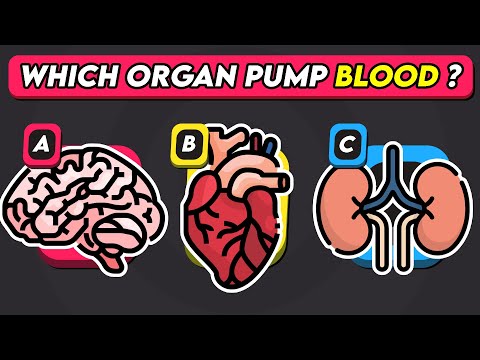 Can You Pass This Human Body Quiz Challenge ? Genius Test