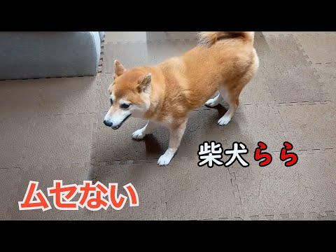 ムセない