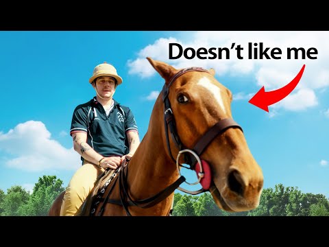 I Became a Polo Player For a Day
