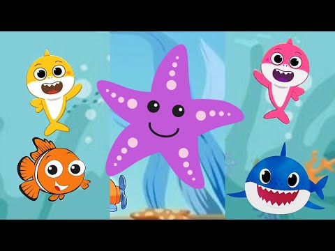 Baby Shark runaway at Seaworld with Animals Sea Dolphin octopus | Baby Shark Dance Song video