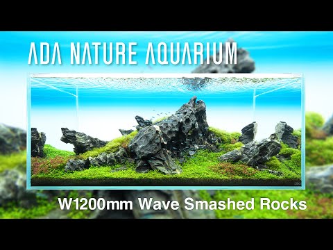 [ADAview] Wave Smashed Rocks／大波岩 - W1200mm Nature Aquarium Layout-【EN/JP Sub.】