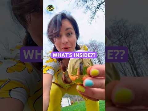 We Found a GOLDEN EGG!! ๐ #shorts #easteregg #easter