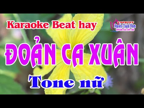 Karaoke ĐOẢN CA XUÂN – TONE NỮ