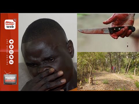 Forêt classée de Mbao: terribles révélations de Bakary qui a frôlé la mort: « Ay bopou nitt lagnou»