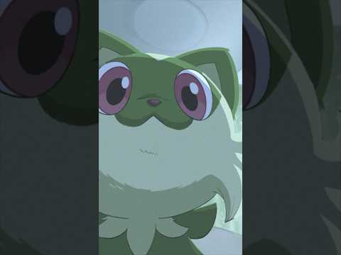 Pokemon TCG News