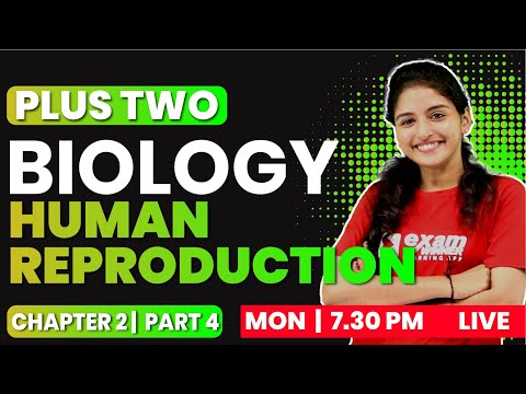 PLUS TWO BIOLOGY | CHAPTER 2 PART 4 | Human Reproduction | EXAM WINNER