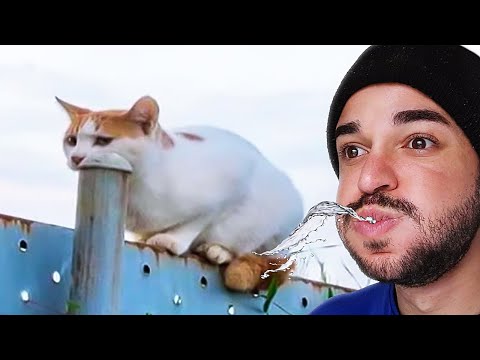 Tente Não Rir com Água na Boca 💧💧😂 (versão 2025)