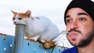 Tente Não Rir com Água na Boca 💧💧😂 (versão 2025)