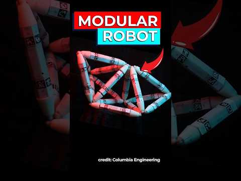 Scientists Create Self-Assembling Robots