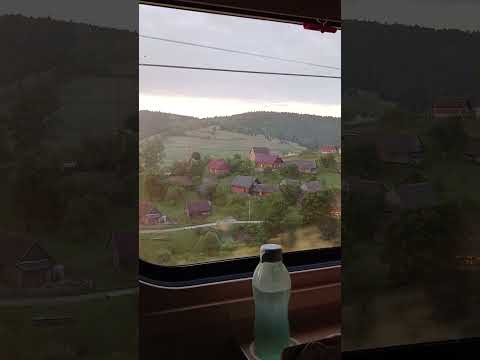#карпати #train #travel