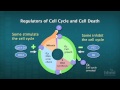 Exploring Cancer Genes and Their Impact