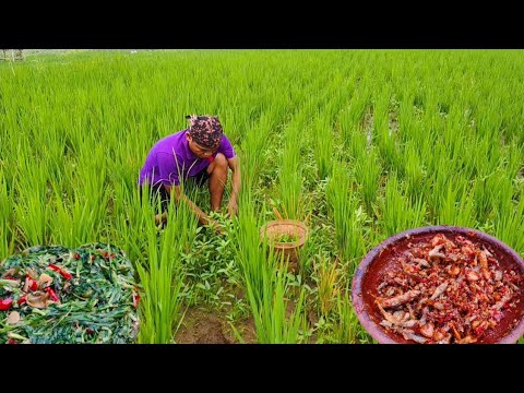 Petualangan di alam mencari bahan makanan langsung dimasak ||penyet lunjar tumis wewe an