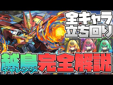 越鳥チャレンジ全キャラ立ち回り解説！本気で勝ちたい人向け！多次元の越鳥シーウルフ全敵対応【パズドラ】
