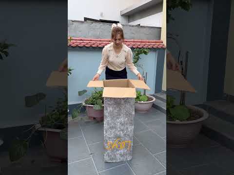 OMG !!! Box prank #shorts #trending  #funny #comedy