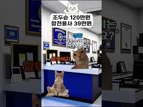 참전용사 #고양이밈