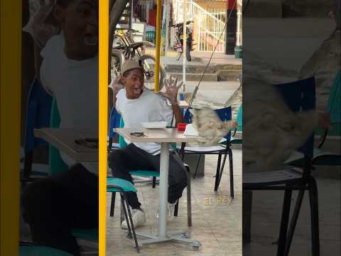 CAMBIO- DE POLLO ๐ #viral