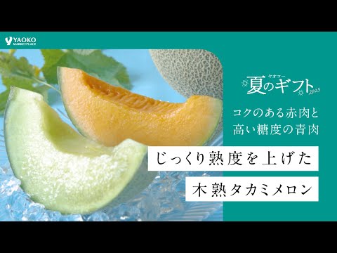 【5/31～受付開始】飯岡メロン研究会の木熟タカミメロン