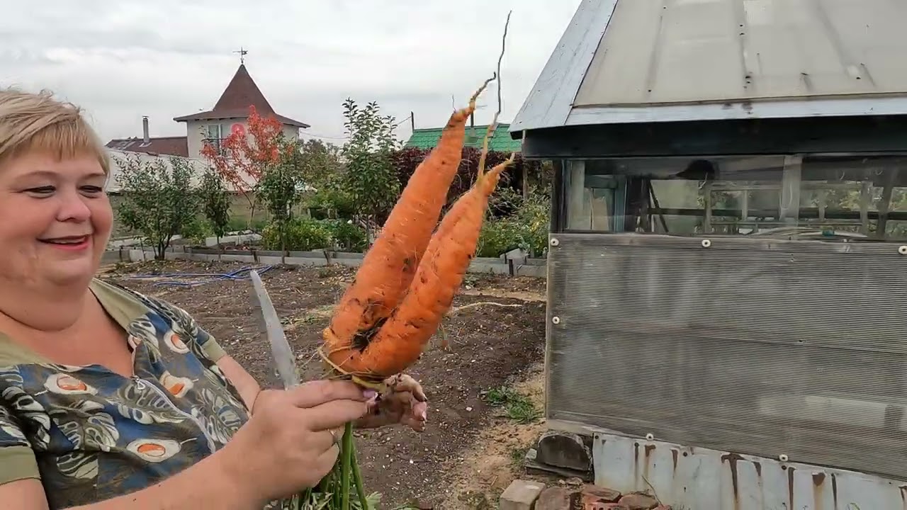 Ого какая морковь выросла! Жарим купаты. Приготовили грядку к зиме
