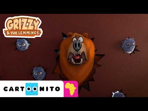 The Plan|Grizzy and the Lemmings | Cartoonito Africa