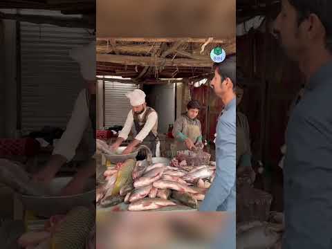 Tên trộm cạn lời khi con cá có sợi dây chuyền bỗng biến mất