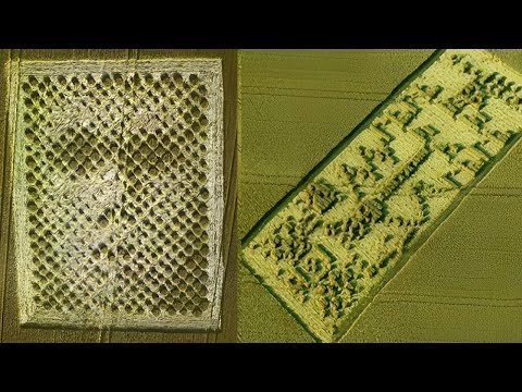 The Message Of Space Aliens to the People of the Earth in Crop Circle 1